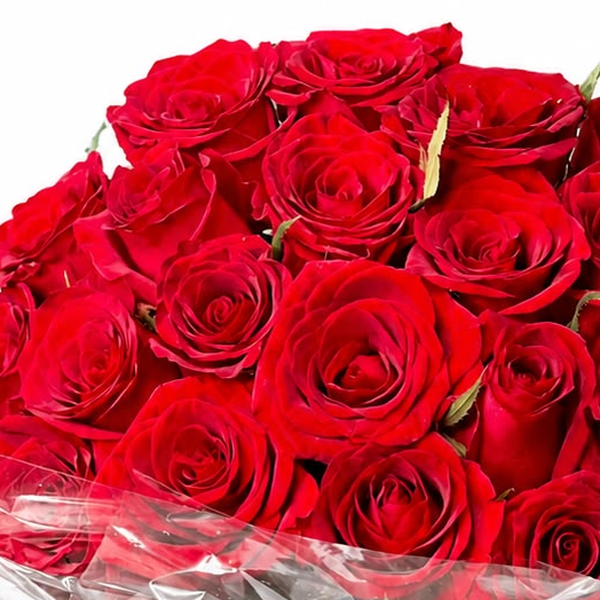 Buquê Romântico 20 Rosas