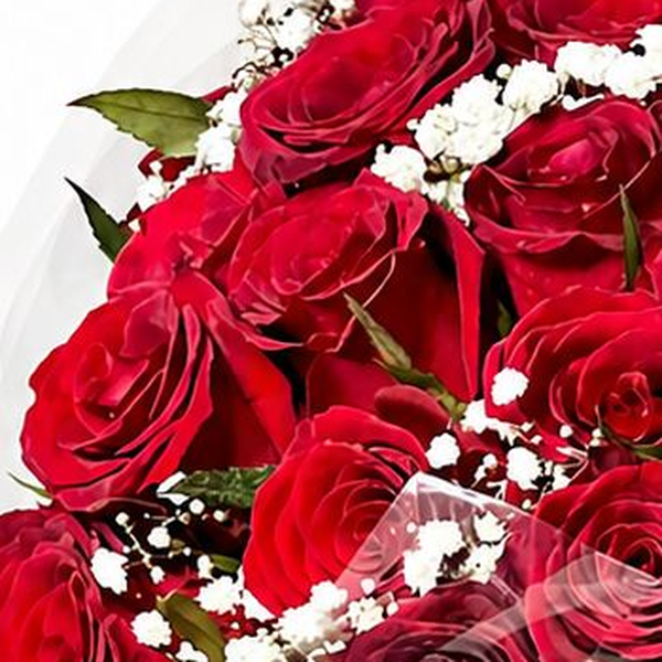 Buque Romântico 50 Rosas