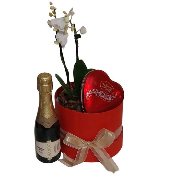 Cesta Box de Luxo
