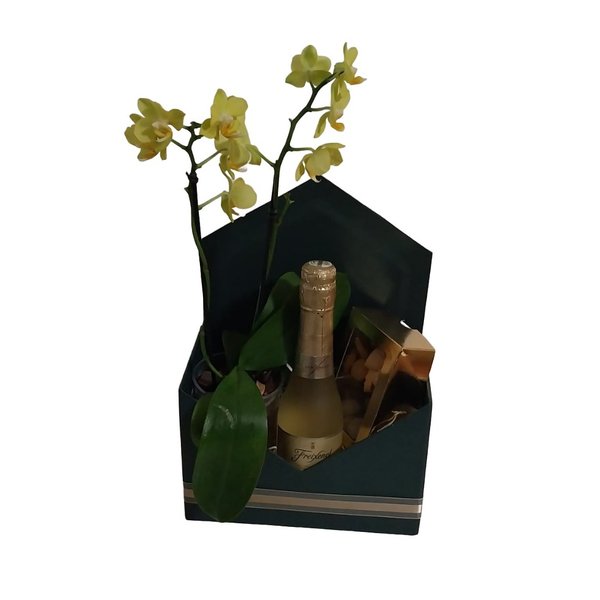 Presente luxo Freixenet  