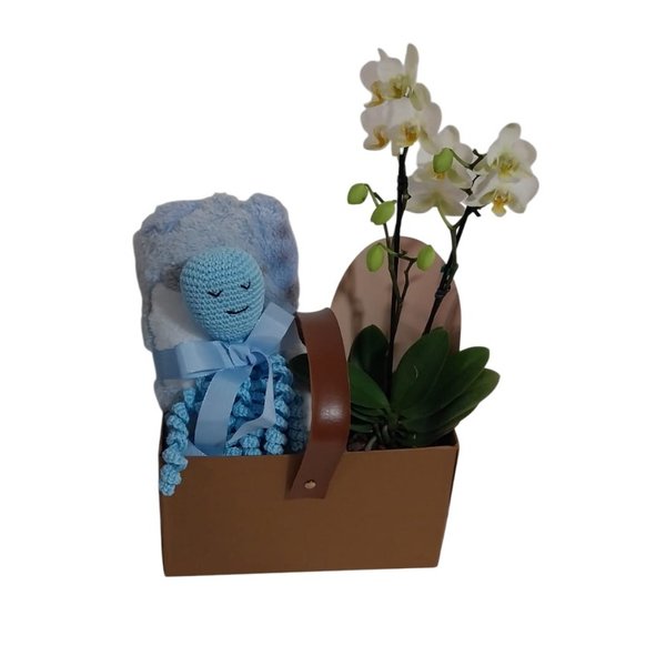 Cesta carinho azul