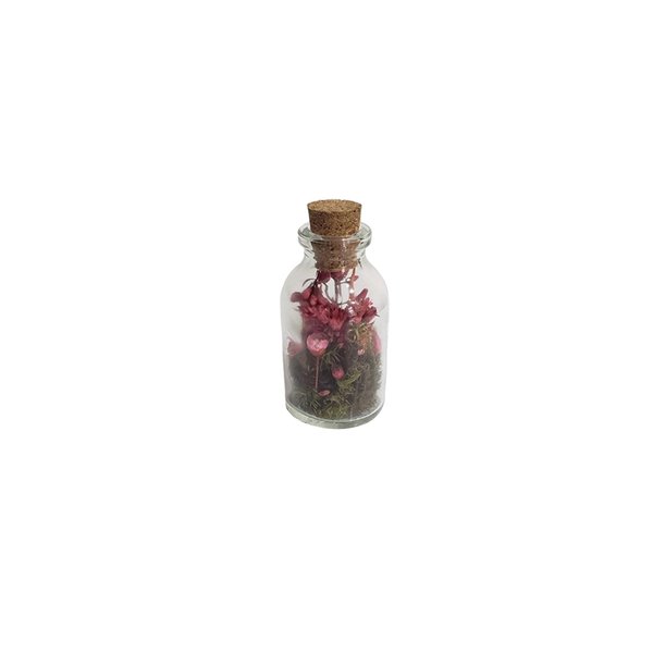 Mini terrário