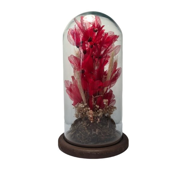 Redoma de vidro com flores desidratadas  Encanto