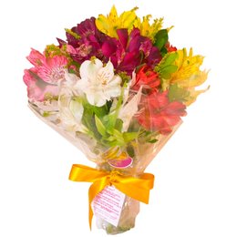 Imagem de Mimo De Astromélias