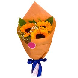 Imagem de Arranjo Brilho de Luz