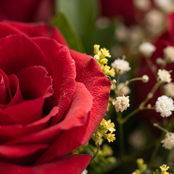 Buquê Tradicional 6 Rosas