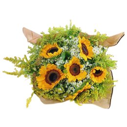 Imagem de Buquê Encanto de Girassóis
