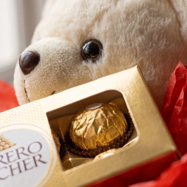 Cesta Winerr Vinho e Urso