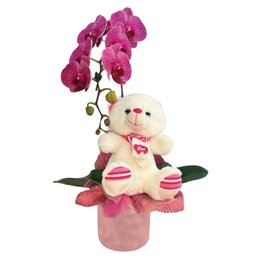 Imagem de Linda Orquídea Com Urso de Pelúcia 