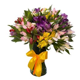 Imagem de Arranjo Astromélia Colorida no Vaso