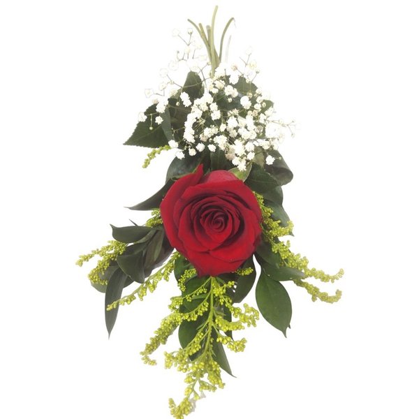 Rosa Importada Explorer Decorada