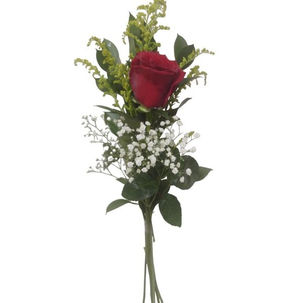 Rosa Importada Explorer Decorada