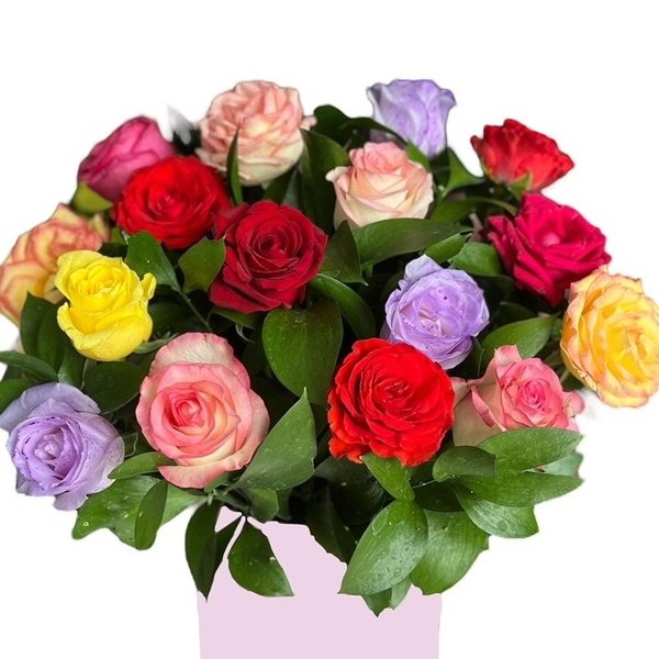 Box Rosas Coloridas
