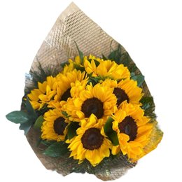 Imagem de Buquê 10 Girassóis