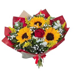 Imagem de Entre Rosas e Girassóis