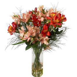 Imagem de Vaso com Mix Astromélias