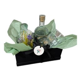 Imagem de Kit Botânica e Gin